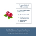 eclectic-herb-premium-freeze-dried-cranb-4.jpg