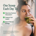 gut-superfood-blend-greens-powder-with-p-6.jpg