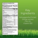 irwin-naturals-mental-clarity-informatio-2.jpg