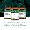 gaia-herbs-pro-nootropic-focus-brain-hea-6.jpg