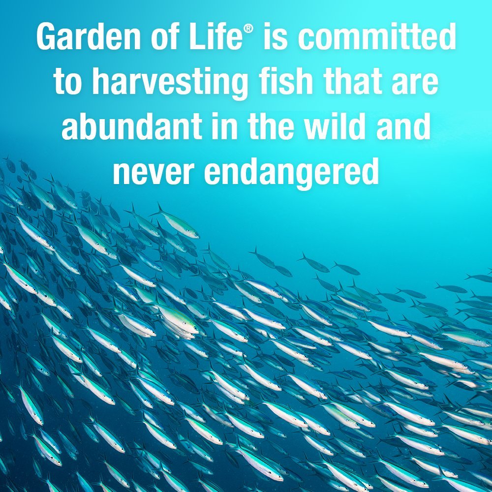 garden-of-life-oceans-3-beyond-omega-3-w-6.jpg