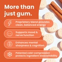 neurogum-energy-focus-cinnamon-12-packs--3.jpg
