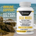 probase-nutrition-sea-moss-60-capsules-3-3.jpg