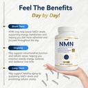 nmn-supplement-1000-mg-used-to-delay-agi-3.jpg