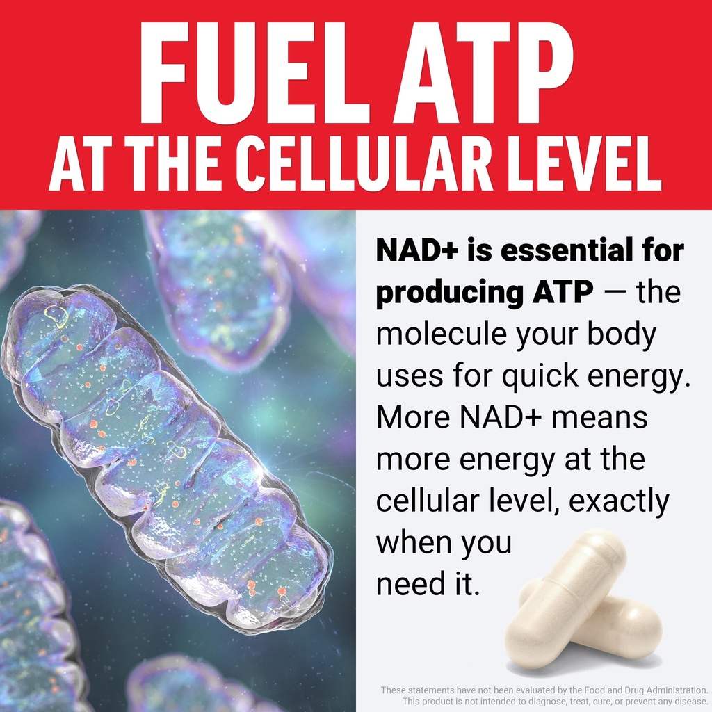 force-factor-nmn-supplement-nicotinamide-4.jpg