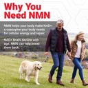 force-factor-nmn-longevity-capsules-500m-3.jpg