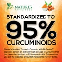 turmeric-curcumin-supplement-95-curcumin-3.jpg