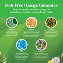 bundle-of-omega-dha-gummies-for-kids-fat-6.jpg