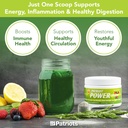 patriot-power-greens-40-fruits-vegetable-4.jpg