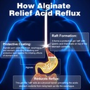 qubit-sodium-alginate-for-acid-reflux-no-5.jpg