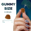 vitamatic-ginkgo-biloba-bacopa-gummies-p-3.jpg