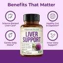 vimerson-health-vegan-liver-cleanse-deto-2.jpg