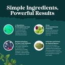bundle-of-pro-liver-support-supplement-2-6.jpg