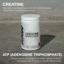 raw-nutrition-creatine-monohydrate-blue--3.jpg