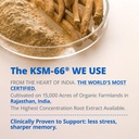 ksm-66-ashwagandha-supplements-ashwagand-4.jpg