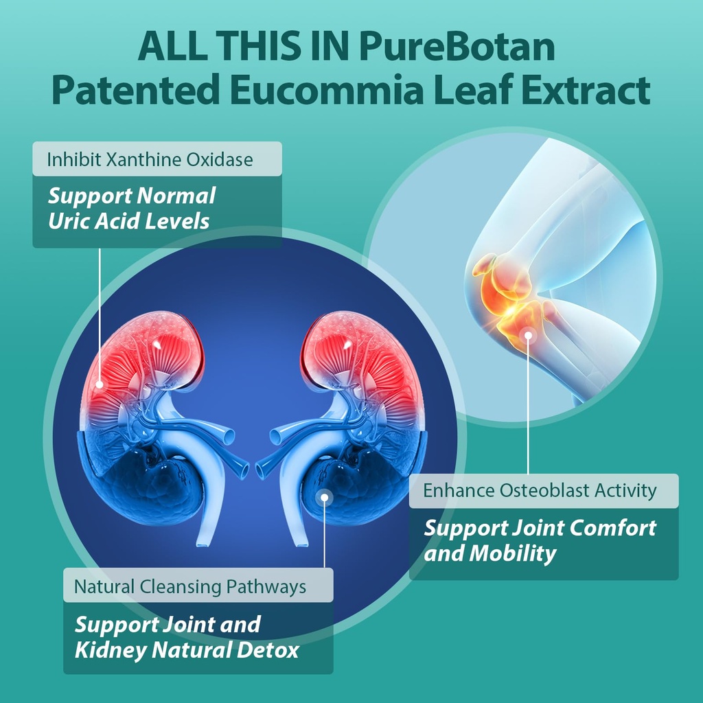 natural-purge-uric-acid-flush-support-ur-3.jpg