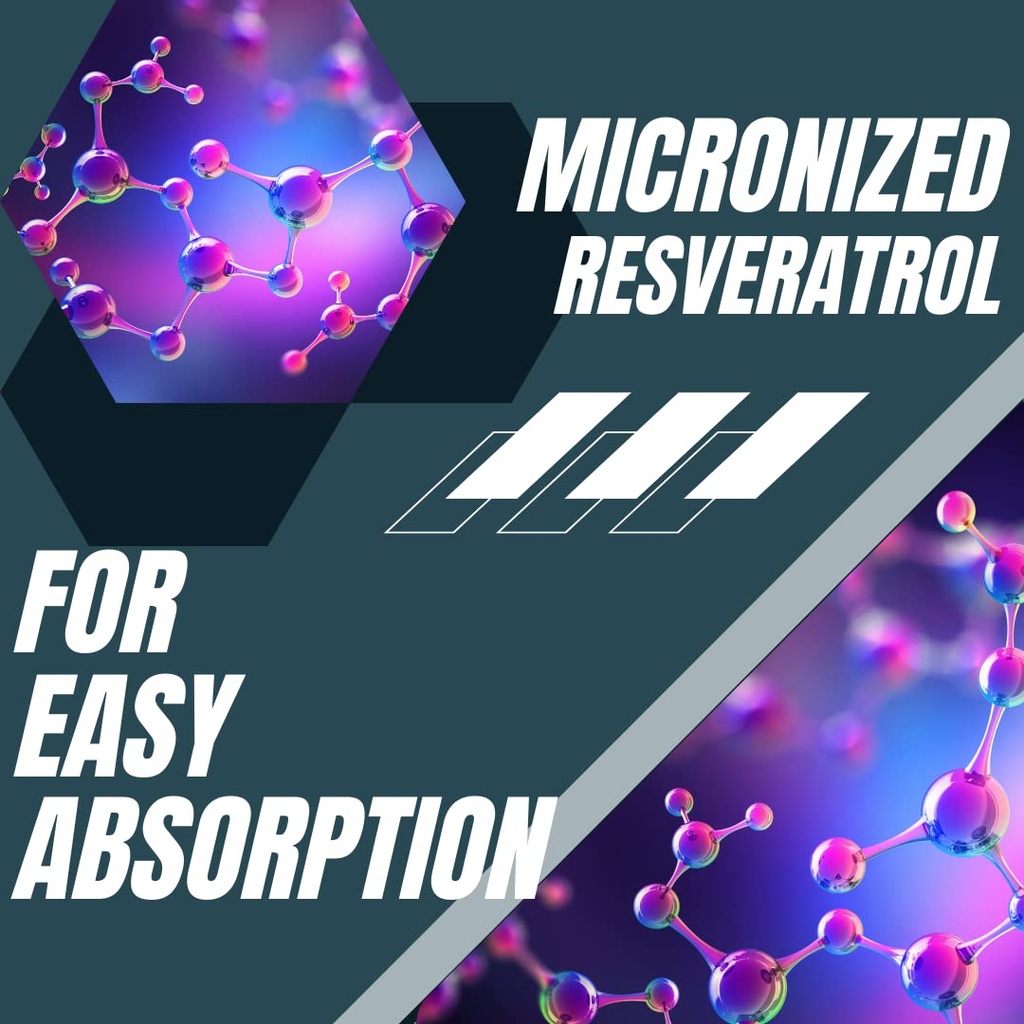 research-labs-2x-potency-micronized-resv-5.jpg