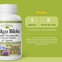 herbalfactors-by-natural-factors-ginkgo--3.jpg