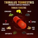 tribulus-terrestris-supplement-for-men-w-5.jpg