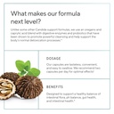 premium-candida-cleanse-supplement-candi-3.jpg