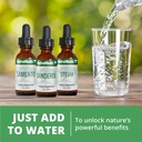 nutramedix-vitalmedix---cats-claw-moring-6.jpg
