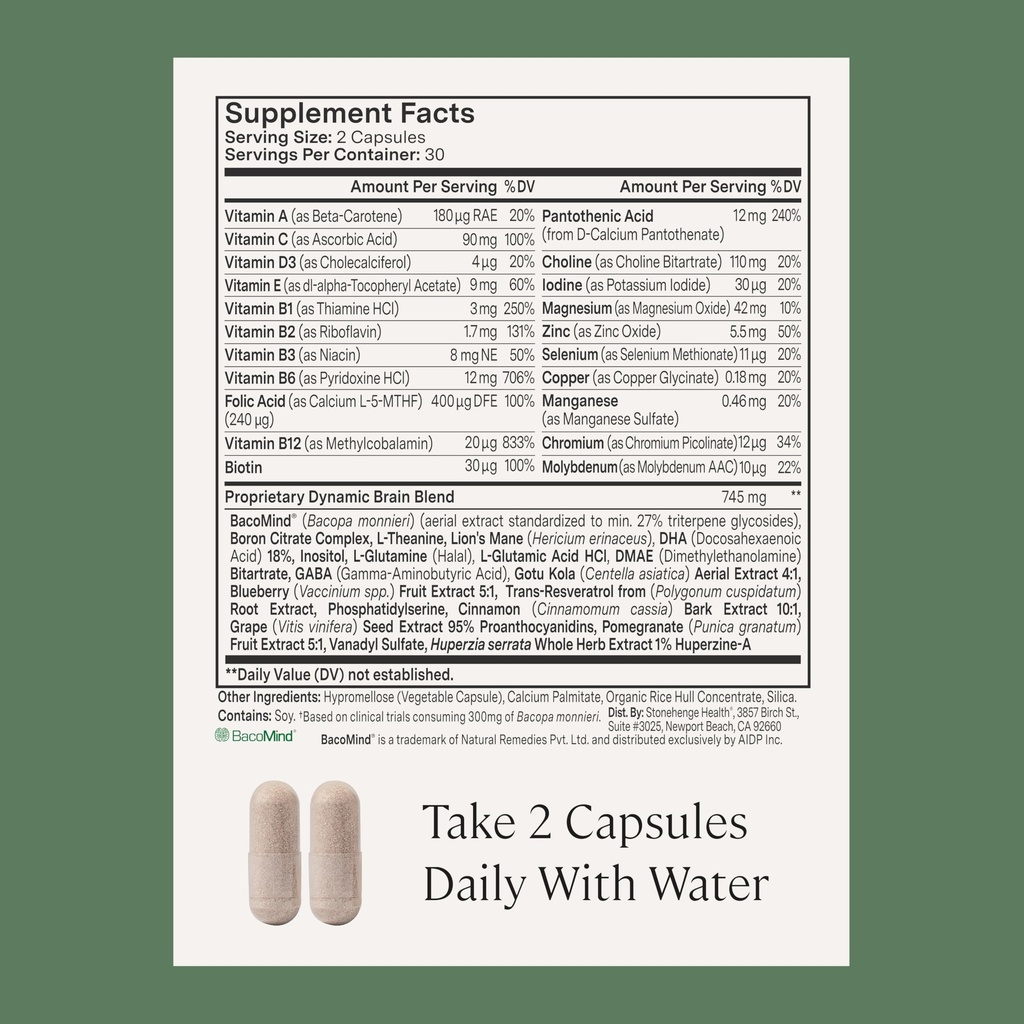stonehenge-health-dynamic-brain-bacomind-5.jpg