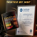 creatine-gummies-monohydrate-6g-with-bet-6.jpg