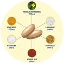 gat-sport-testrol-gold-es-with-shilajit--4.jpg