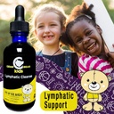cedar-bear-lymphatic-cleanse-for-kids-li-3.jpg