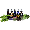 cedar-bear-lymphatic-cleanse-for-kids-li-4.jpg