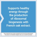 life-extension-energygain-french-oak-ext-6.jpg
