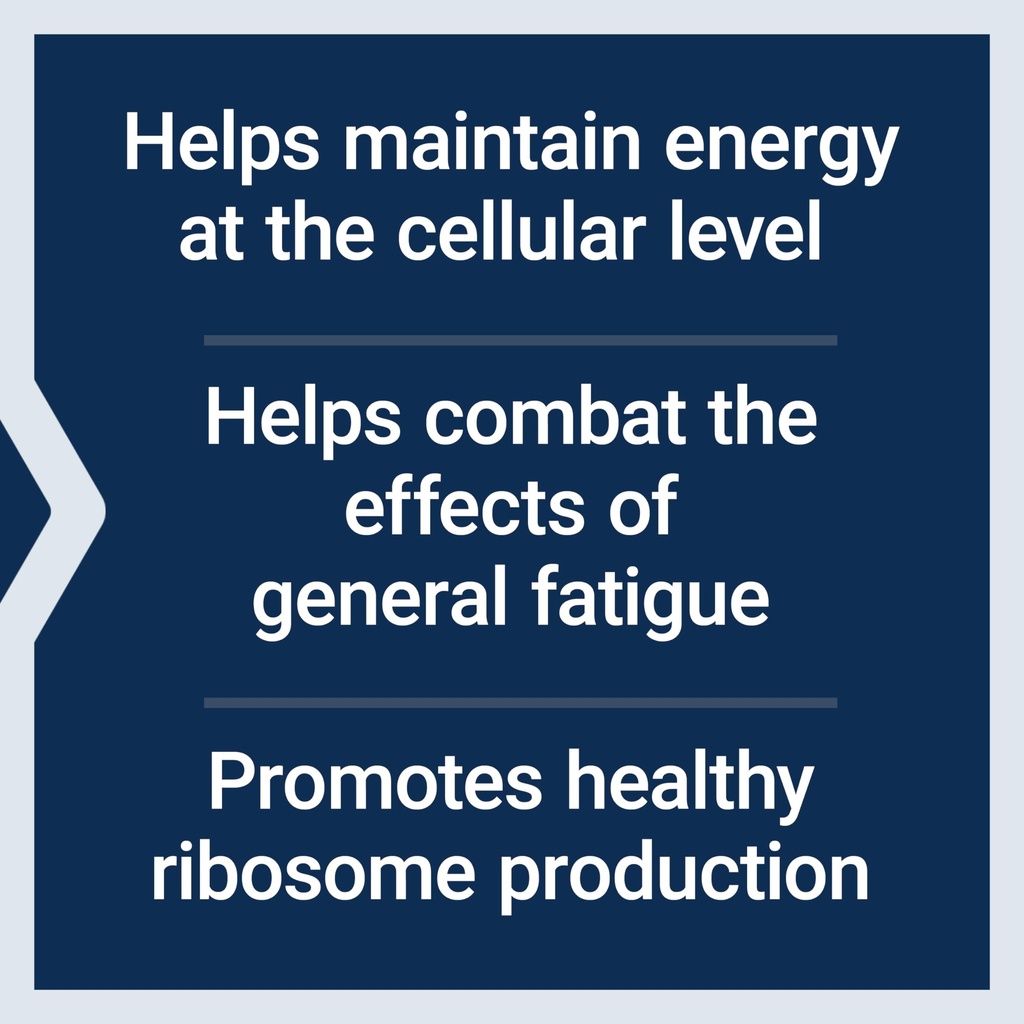 life-extension-energygain-french-oak-ext-4.jpg
