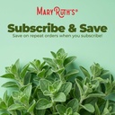maryruth-organics-oregano-oil-drops-6-mo-6.jpg