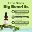 maryruth-organics-oregano-oil-drops-6-mo-4.jpg