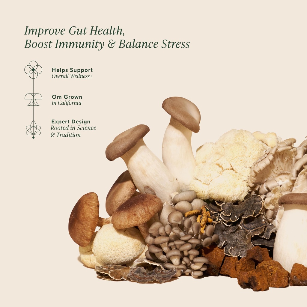 om-mushrooms-master-blend-mushroom-powde-3.jpg