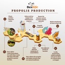 beelife-propoflex-organic-green-propolis-5.jpg