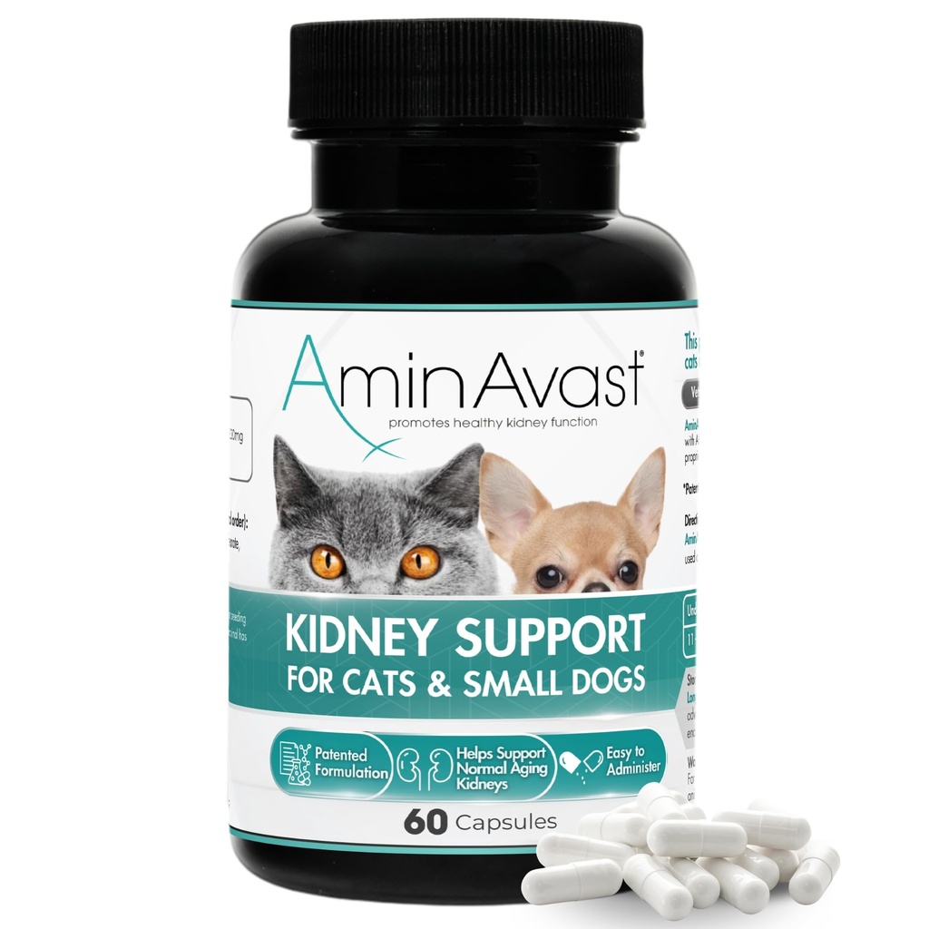 AminAvast Small Dogs & Cat Kidney Support - Främjar hälsosam njursupport i katter och små hundar - 300mg, 60 kapsel