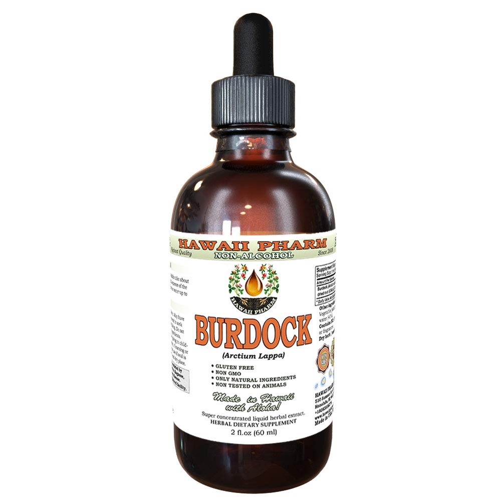 Burdock Alcohol-Free Liquid Extract, Organic Burdock (Arctium Lappa) Torkade Root Glycerite Hawaii Pharm Natural Herbal Supplement 2 oz