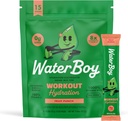 Waterboy Workout Hydration | 2 960mg Sugar Free Electrolyte Powder Packets | L-Glutamin + Vitaminer | No Sugar, All Natural, Gluten Free | 15 Drink Stick Mixes (Fruit Punch)