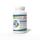 Prebiotika & Probiotika för Digestive & Immune Health med Pea Protein Advanced - Plant-Based 28 Strains Soil Microflora - Vegan, stöder Muscle Recovery & Gut Health, 60 kapslar av Prescript Assist