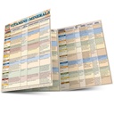 Vitaminer och mineraler: en QuickStudy Laminated Reference Guide (QuickStudy Health)