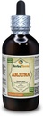 Arjuna (Terminalia Arjuna) Tinktur, Organic Dried Bark Liquid Extract (Brand name: HerbalTerra, Proudly made in USA) 4 fl.oz (120 ml)