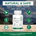 Palmitoylethanolamide Pea Supplement 600mg - Micronized Pea Supplements 99% - 2 månader Supply - Avancerad naturligt stöd för gemensam komfort