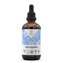 Astragalus USDA Organic Alcohol-Free Extract | Dietary Supplement, High-Potency Tincture | Natural Certified Organic Astragalus (Astragalus membranaceus) Torkade Root (4 oz)