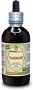 Yarrow (Achillea Millefolium) Tinktur, Organic Dried Herb Liquid Extract (Brand Name: HerbalTerra, Proudly Made in USA) 4 fl.oz (120 ml)