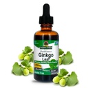 Naturens svar Alkoholfri Ginkgo Leaf 2000mg 2oz Extract | Stimulerar minne, humör och koncentration | Glutenfri, Kosher Certified & No Preservatives | Ensam greve