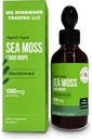 Organic Sea Moss Liquid Drops | 30 000 MG | Sea Moss med Bladderwrack, Elderberry | 4X Stronger Organic Sea Moss än piller och kapslar för övergripande hälsosamt liv! 1 flaska