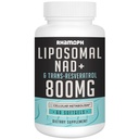Liposomal NAD + 800 mg med Trans-Resveratrol 300 mg, Max Absorption, Faktisk NAD + Boosting Supplement for Healthy Aging, Cellular Energy, DNA Repair, Longevity - 60 Softgels
