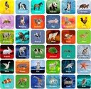 Hebayyy 36 Pair Animal Matching Game Flash Cards Erasable (Varje åtgärd 2" X 2")