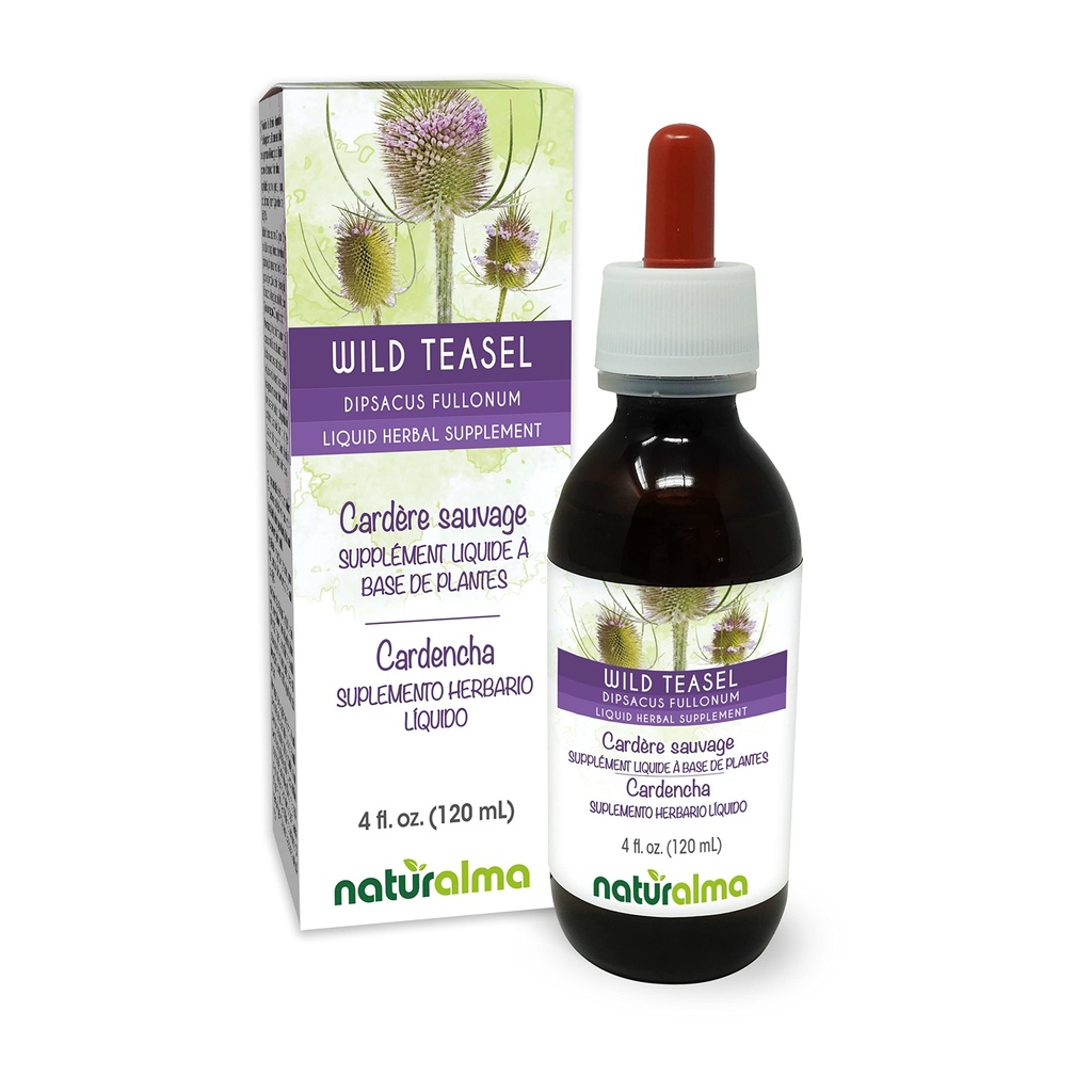 Naturalma Wild Teasel eller Fullers Teasel (Dipsacus fullonum eller D. sylvestris) Root Alcohol-Free Tincture - 4 fl oz Liquid Extract i droppar - Herbal Supplement - Vegan